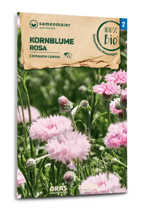  BIO Kornblume Rosa