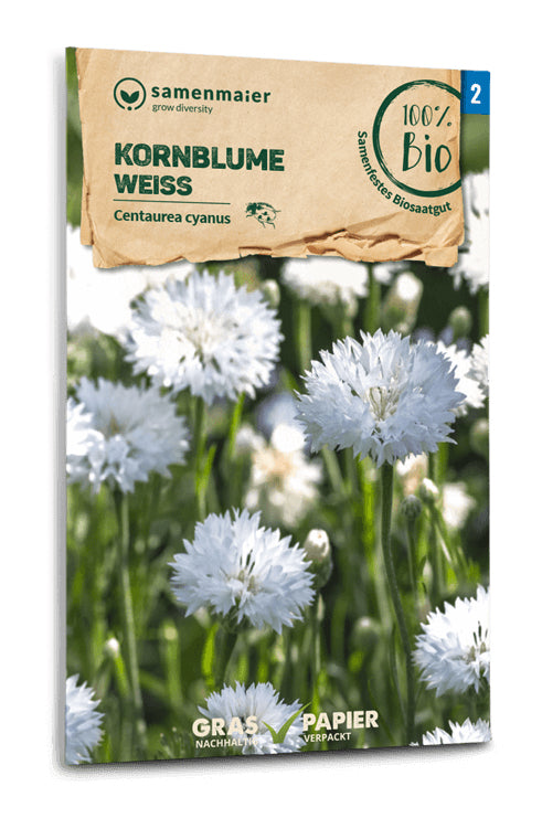  BIO Kornblume Weiß