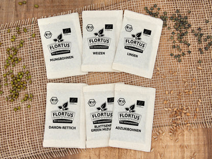  BIO Keimsprossen Set Asiatisch (6 Sorten)