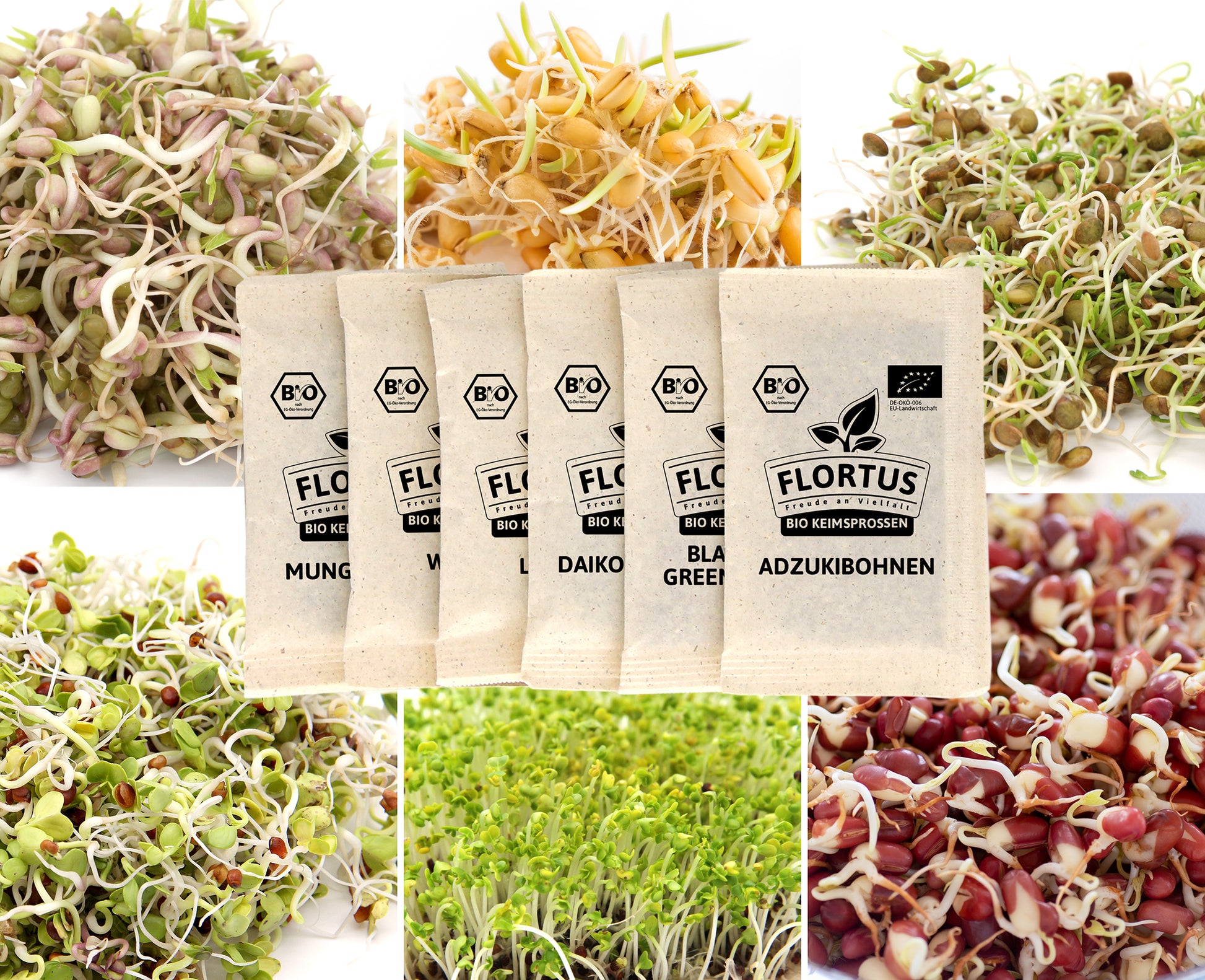  BIO Keimsprossen Set Asiatisch (6 Sorten)
