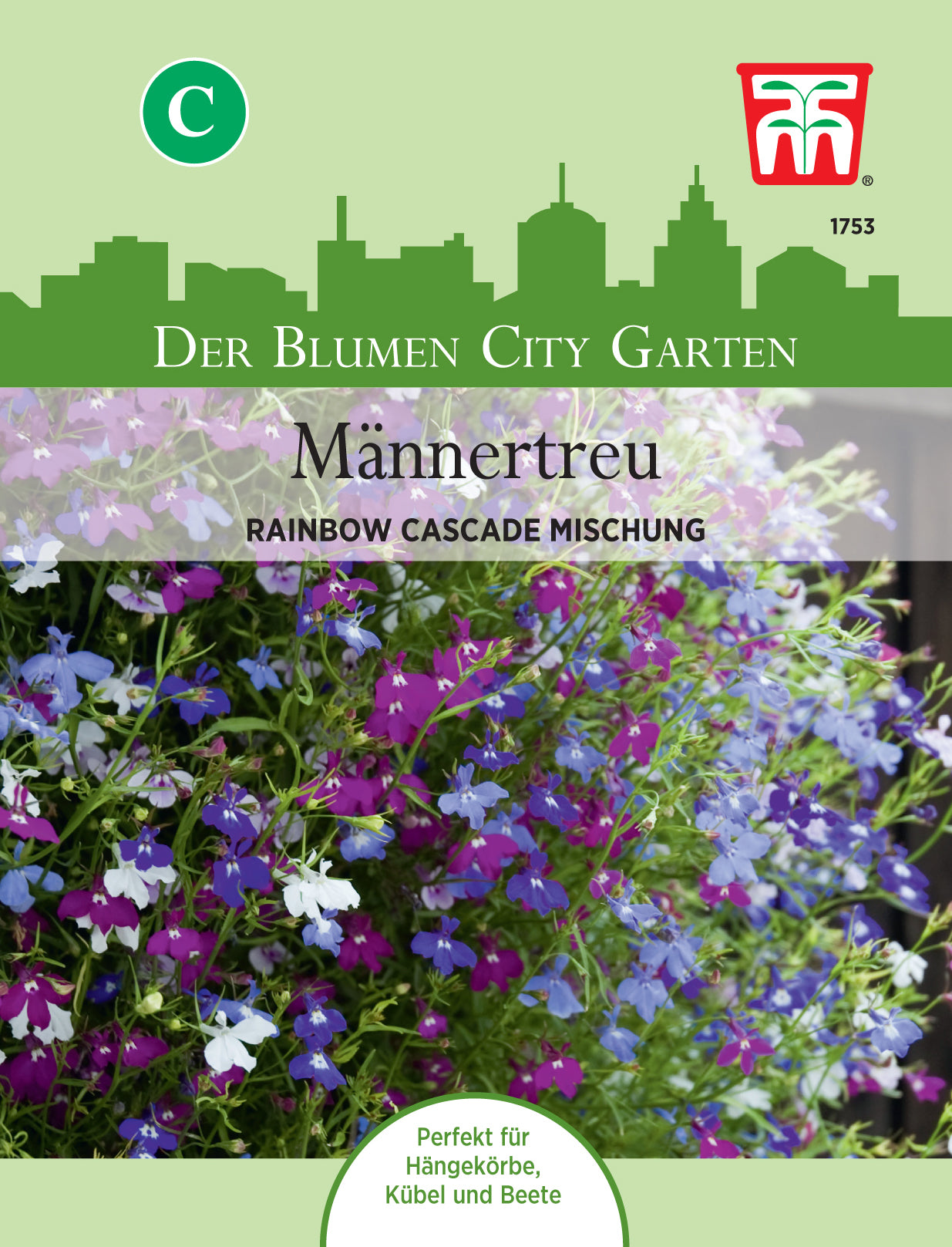  Männertreu Rainbow Cascade Mischung