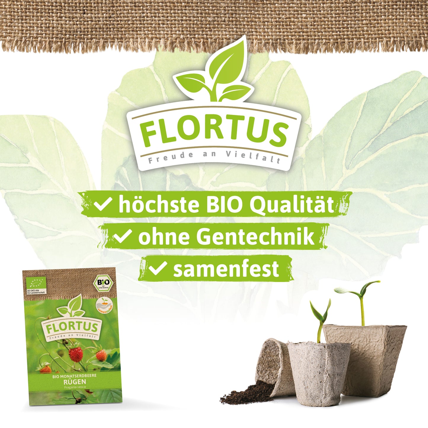  BIO Monatserdbeere Rügen