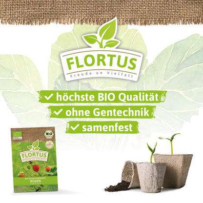  BIO Monatserdbeere Rügen