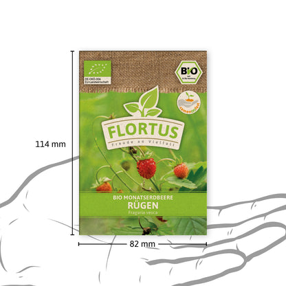  BIO Monatserdbeere Rügen
