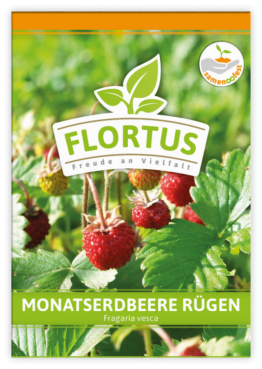  Monatserdbeere Rügen