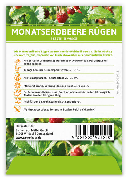  Monatserdbeere Rügen