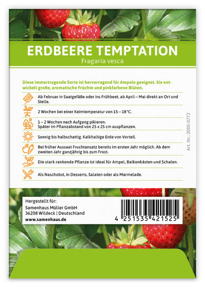  Erdbeere Temptation