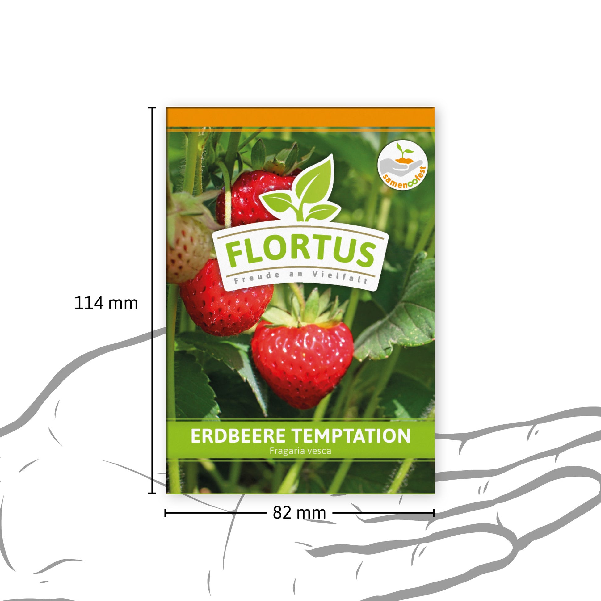  Erdbeere Temptation