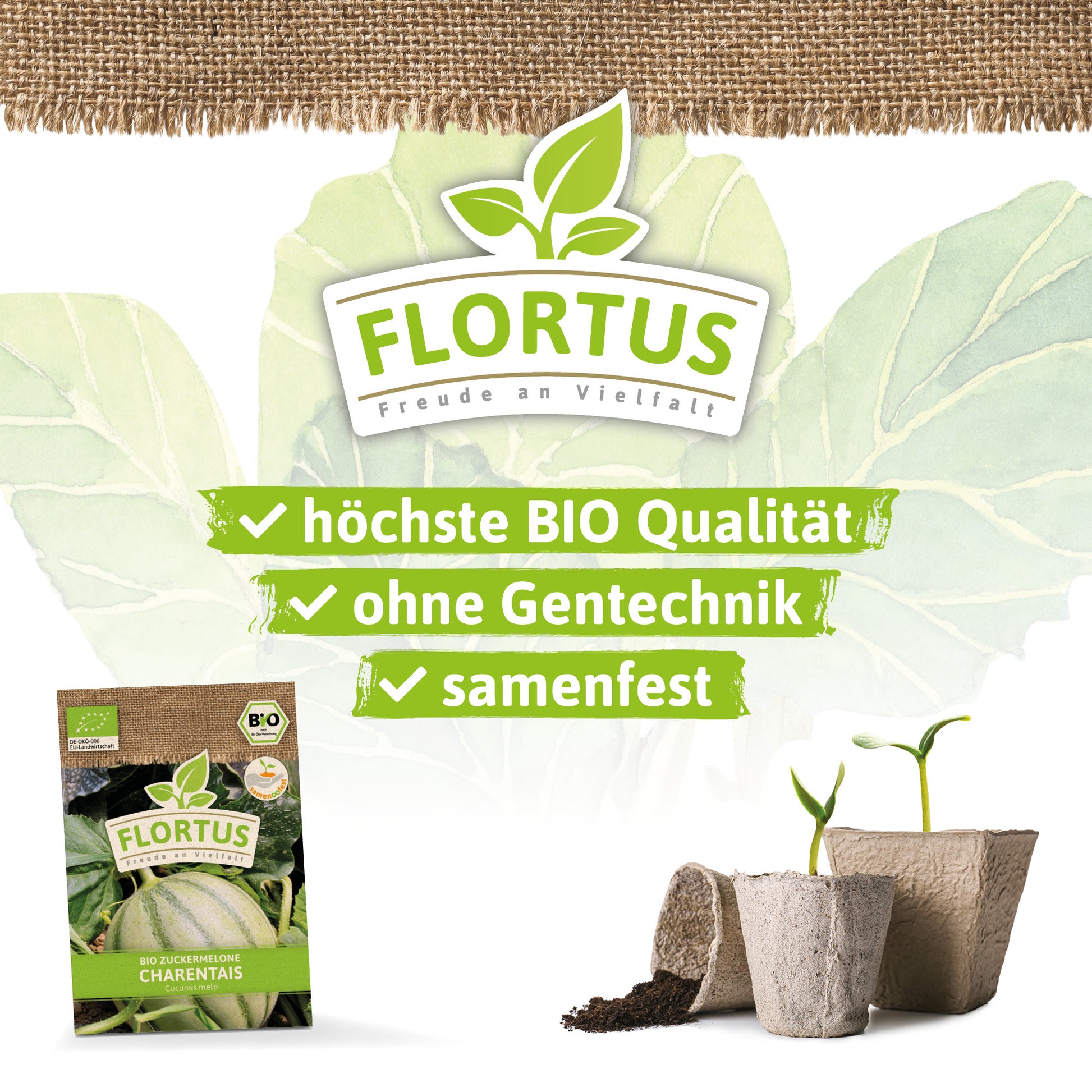  BIO Zuckermelone Charentaise