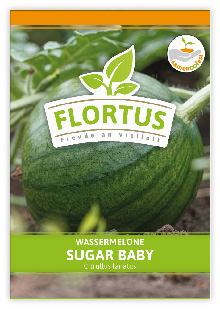  Wassermelone Sugar Baby