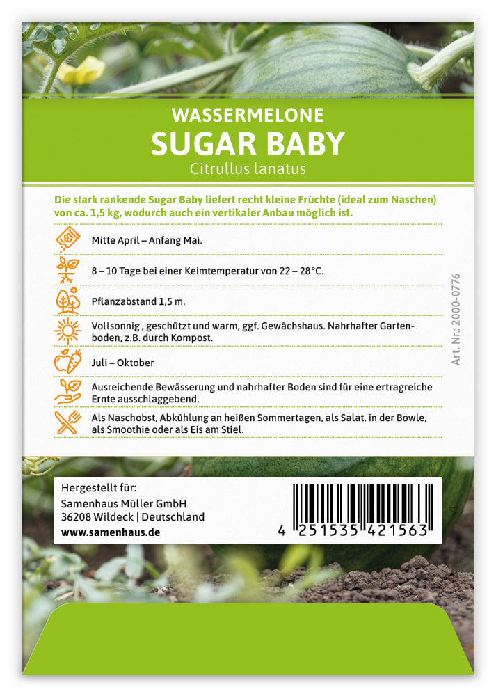  Wassermelone Sugar Baby