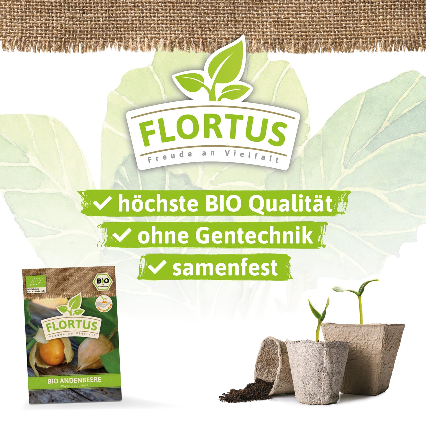  BIO Andenbeere