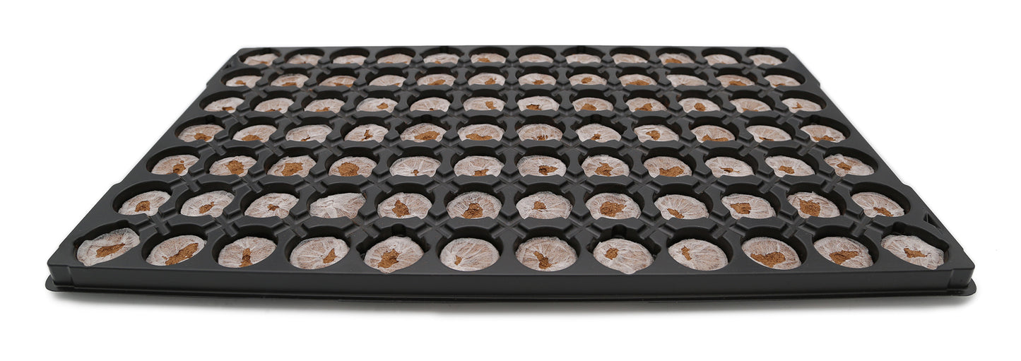  Quelltöpfe Im Tray (84 Stück)