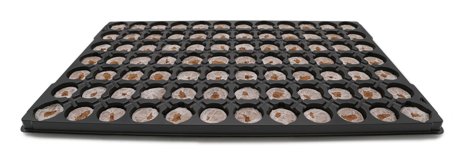  Quelltöpfe Im Tray (84 Stück)