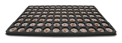  Quelltöpfe Im Tray (84 Stück)