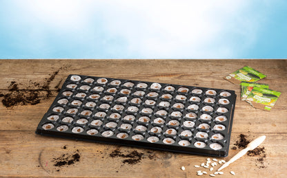  Quelltöpfe Im Tray (84 Stück)