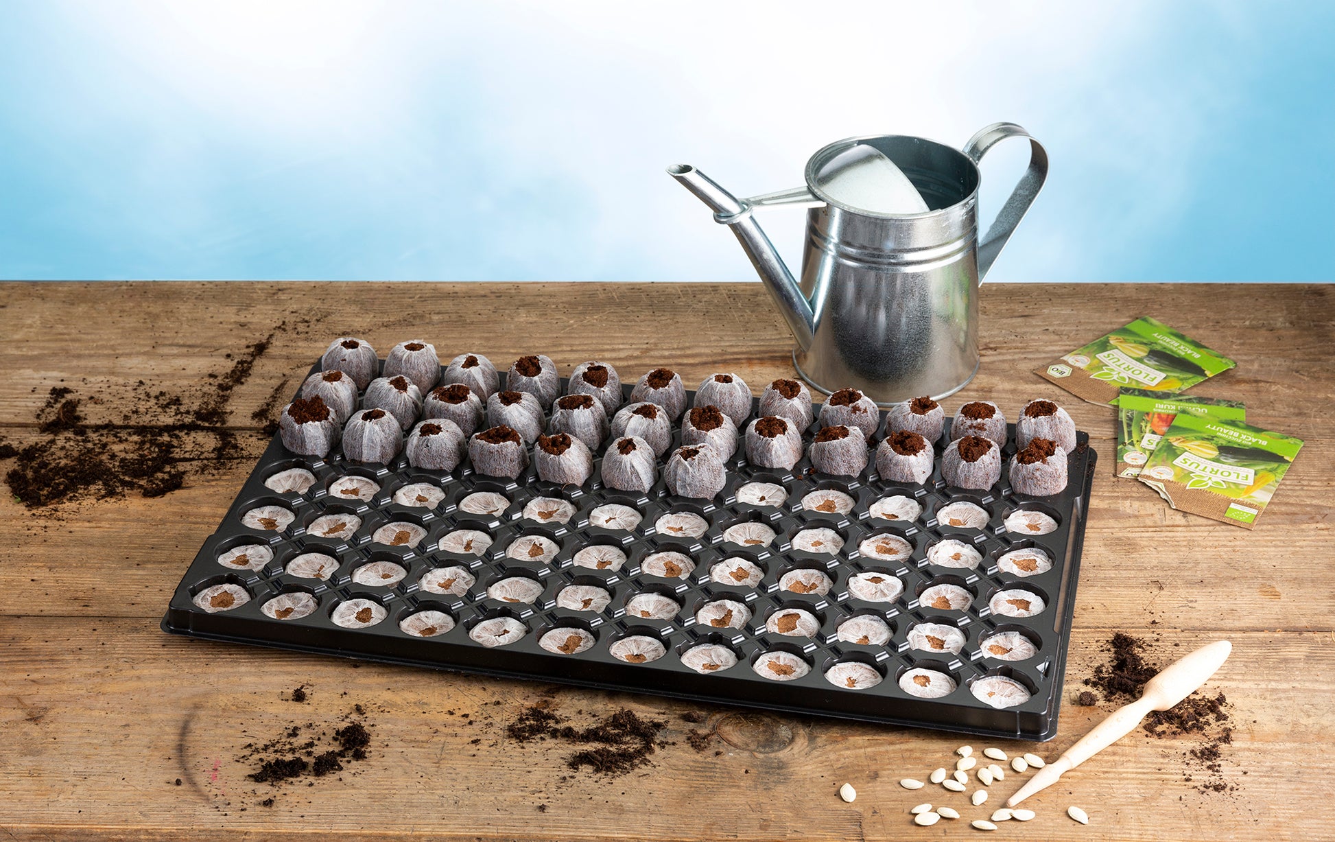  Quelltöpfe Im Tray (84 Stück)