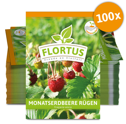  Monatserdbeere Rügen (100 Tütchen)