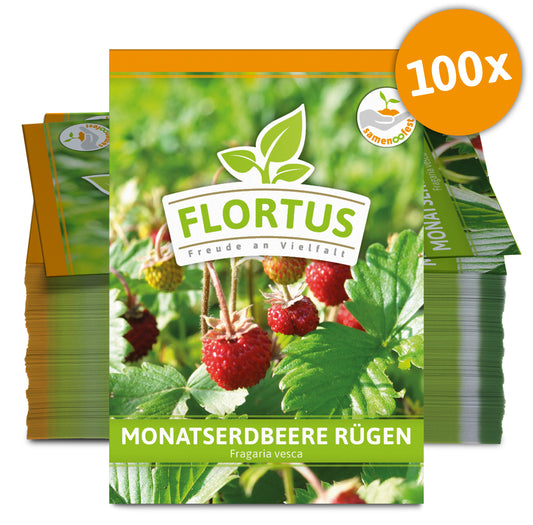  Monatserdbeere Rügen (100 Tütchen)