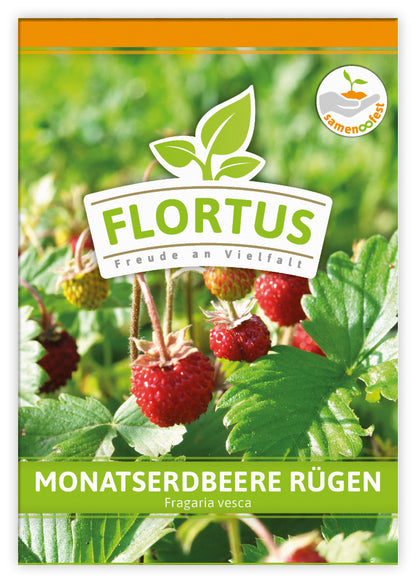 Monatserdbeere Rügen (100 Tütchen)