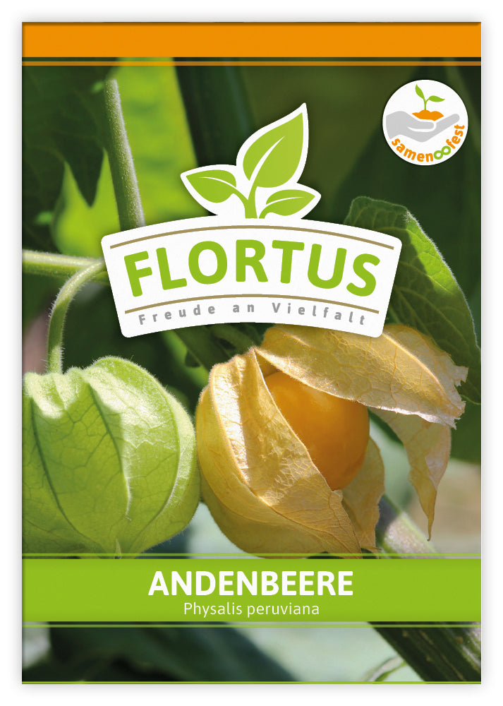  Andenbeere (100 Tütchen)