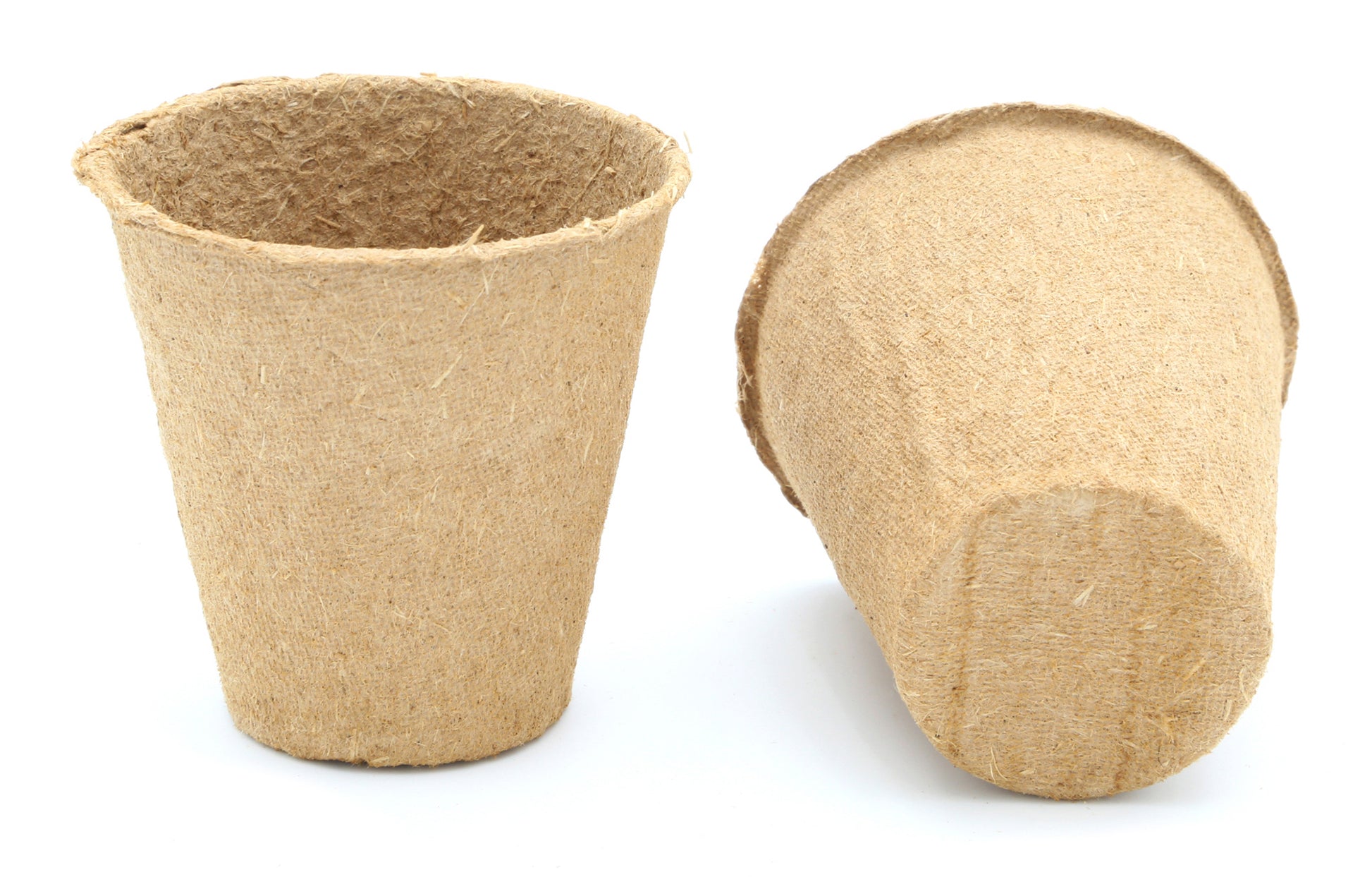  6 Cm Anzuchttopf Rund Auf Holzfaser Basis