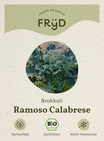  Fryd BIO Brokkoli Ramoso Calabrese