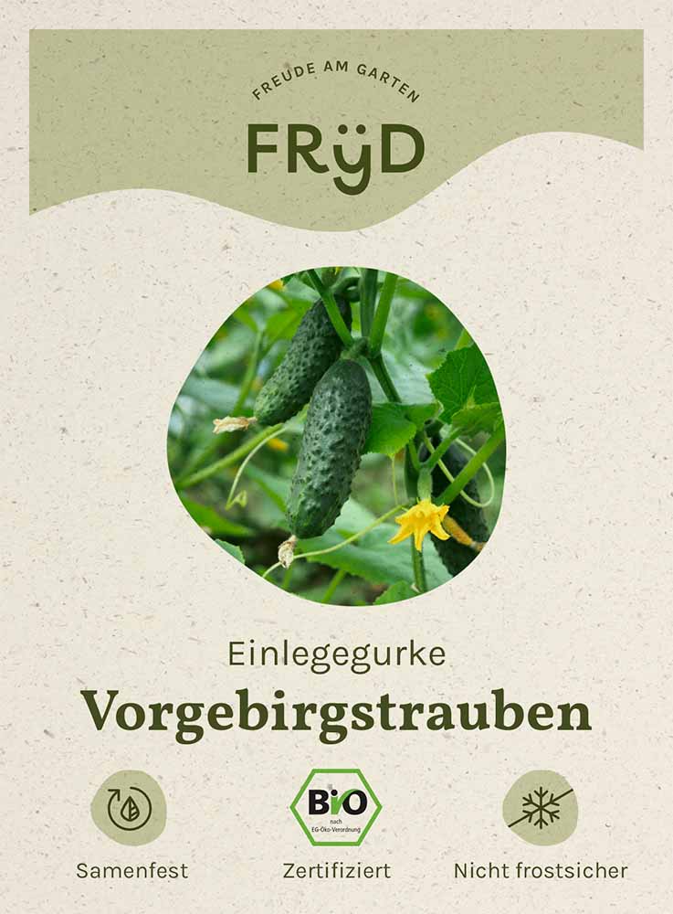  Fryd BIO Einlegegurke Vorgebirgstrauben