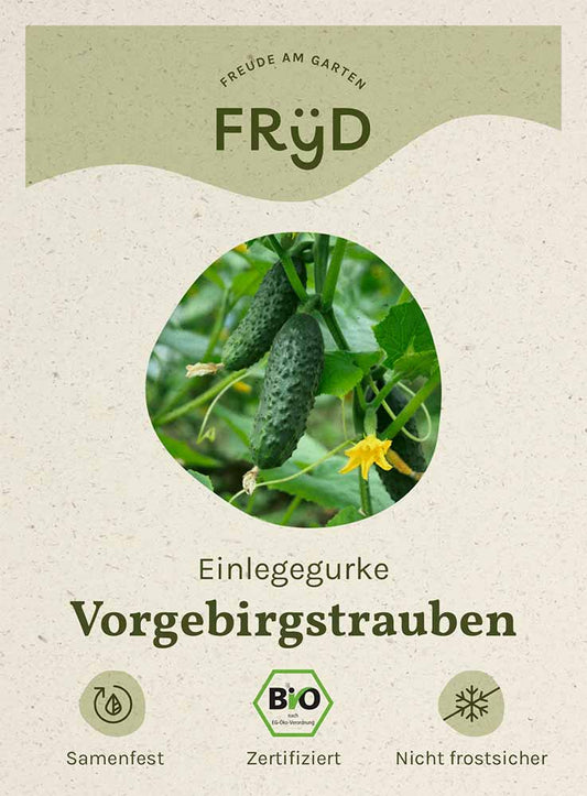  Fryd BIO Einlegegurke Vorgebirgstrauben