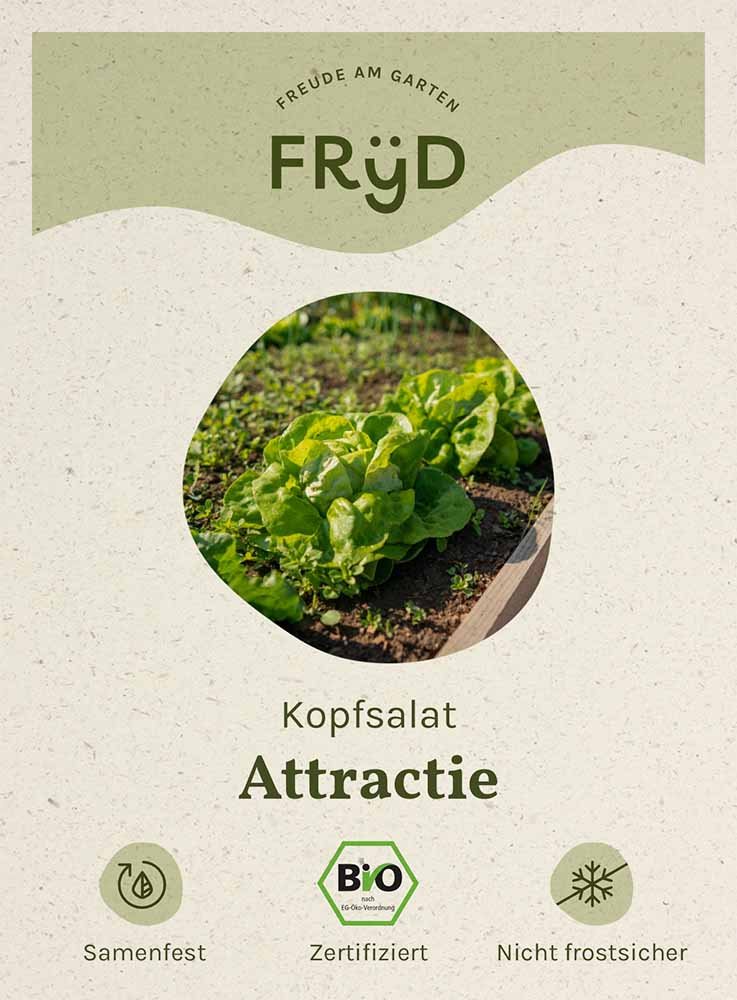  Fryd BIO Kopfsalat Attractie