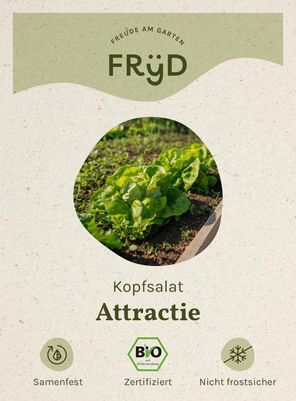  Fryd BIO Kopfsalat Attractie