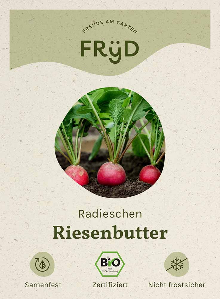  Fryd BIO Radieschen Riesenbutter