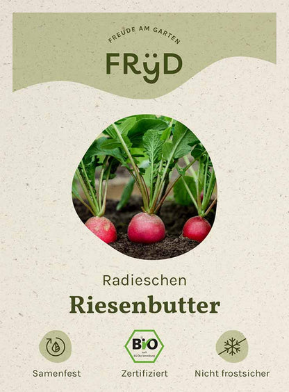  Fryd BIO Radieschen Riesenbutter