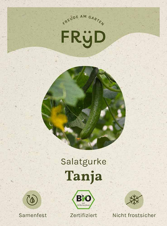 Fryd BIO Salatgurke Tanja