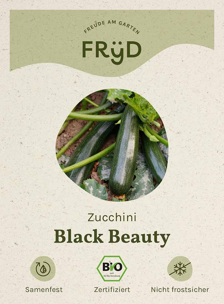 Fryd BIO Zucchini Black Beauty