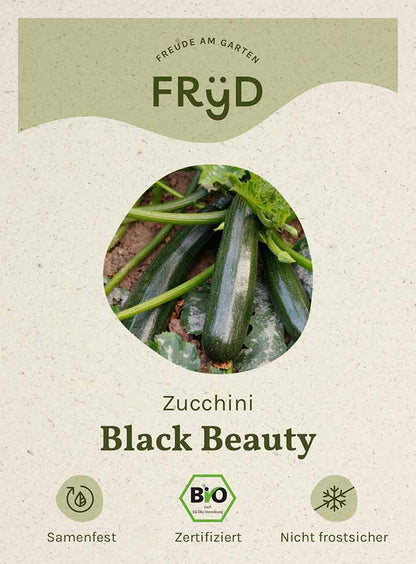  Fryd BIO Zucchini Black Beauty