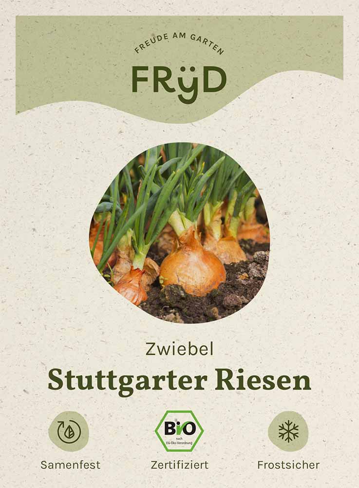  Fryd BIO Zwiebel Stuttgarter Riesen
