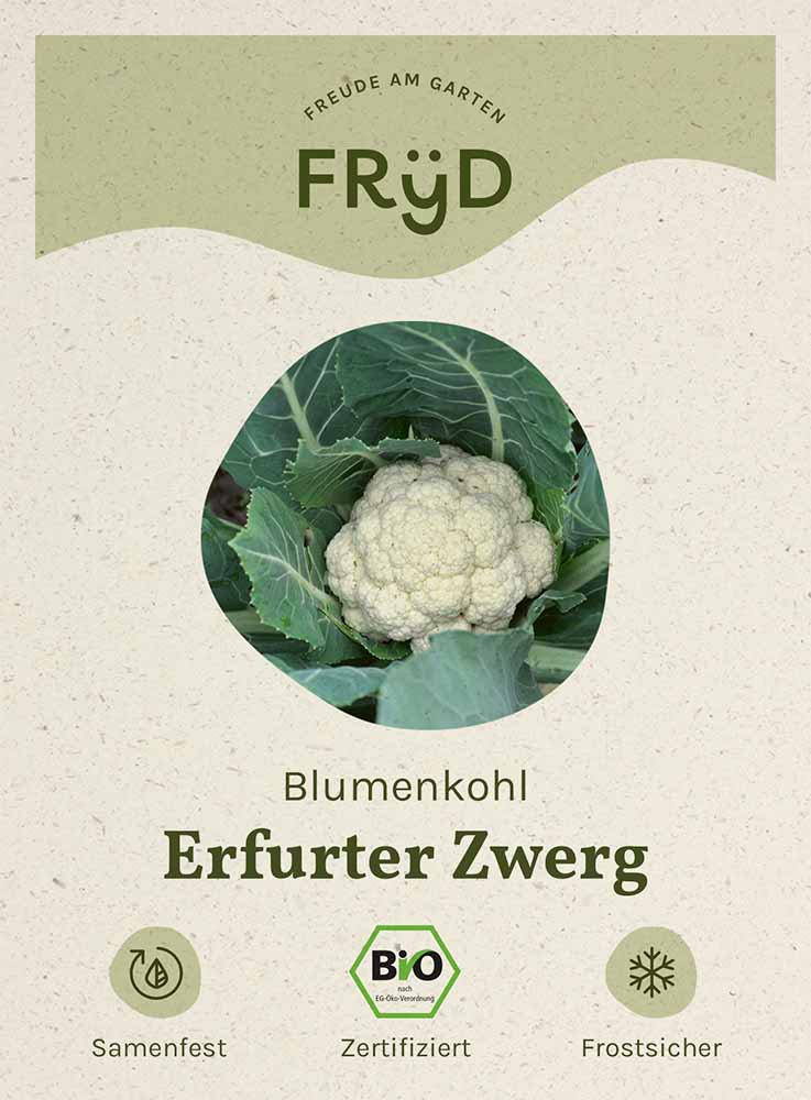  Fryd BIO Blumenkohl Erfurter Zwerg