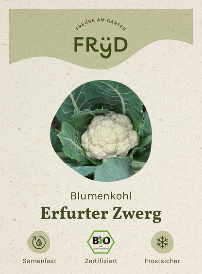  Fryd BIO Blumenkohl Erfurter Zwerg