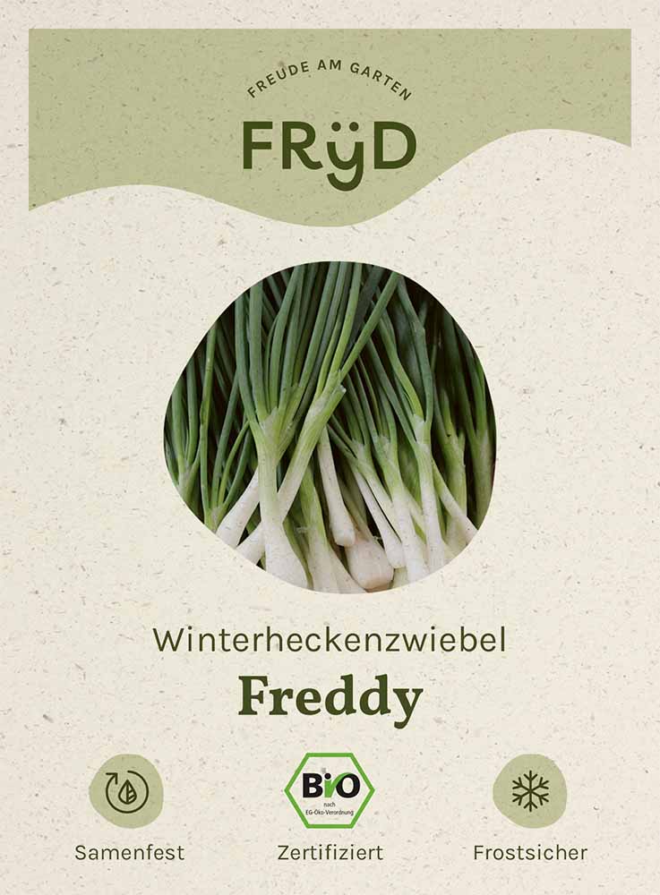 Fryd BIO Winterheckenzwiebel Freddy
