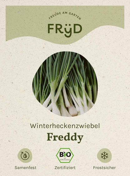  Fryd BIO Winterheckenzwiebel Freddy
