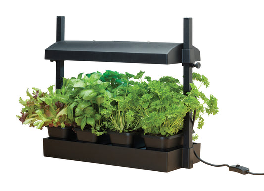  Micro Grow Light Garten