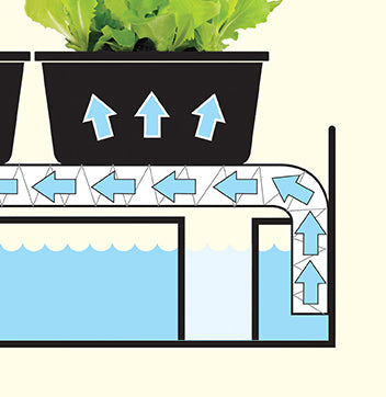  Micro Grow Light Garten