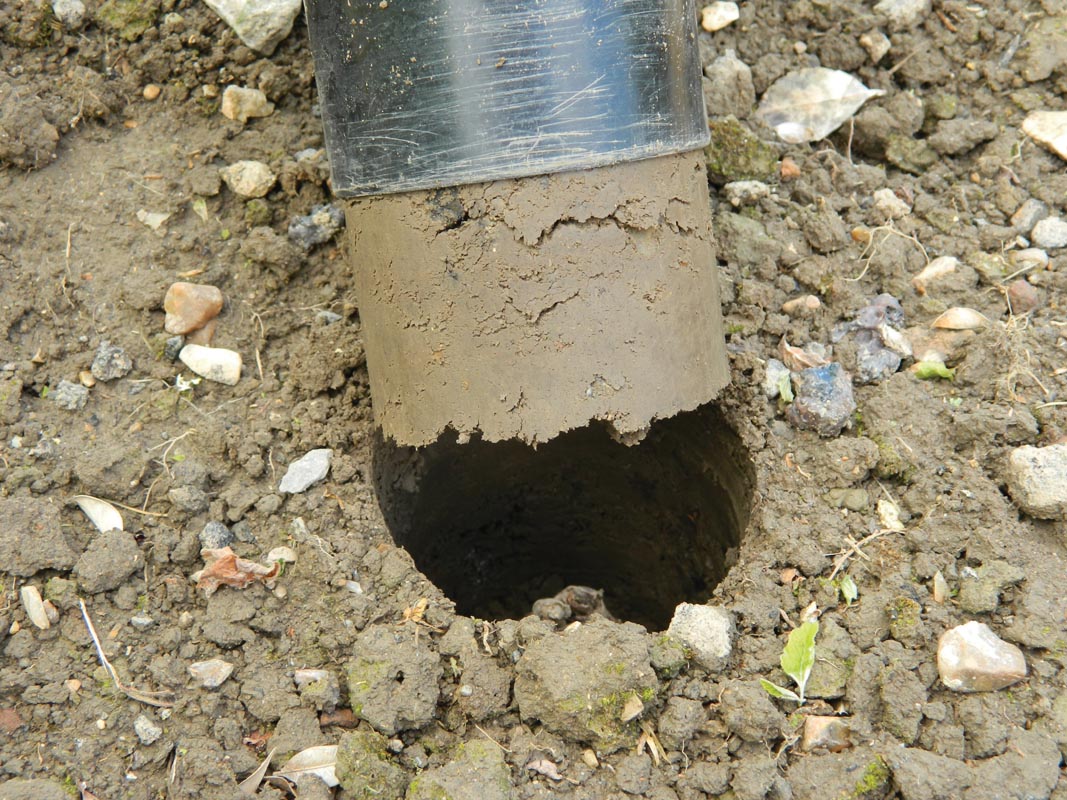  28 X 26 X 7,5 Cm Kurzstieliger Blumenzwiebel Pflanzer