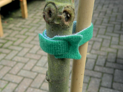  15 Cm Pflanzenbefestigung (10 Stück)