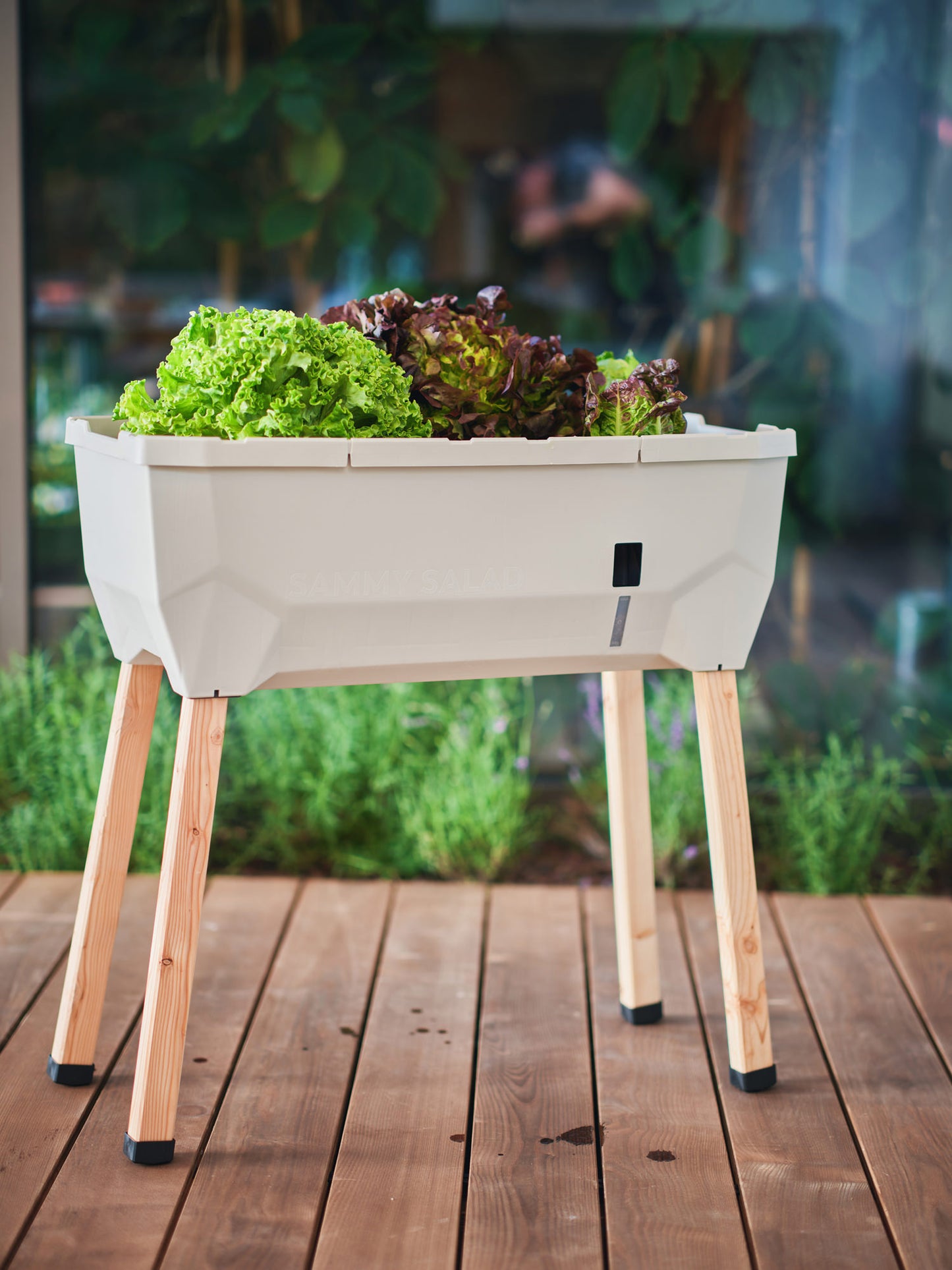  SAMMY SALAD Hochbeet Hellgrau (ohne Haube)