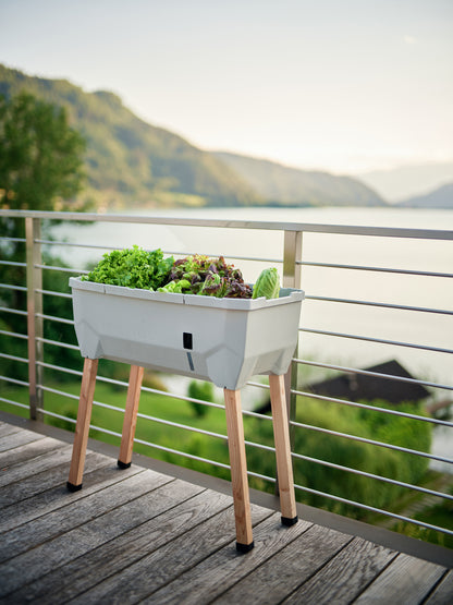  SAMMY SALAD Hochbeet Hellgrau (ohne Haube)