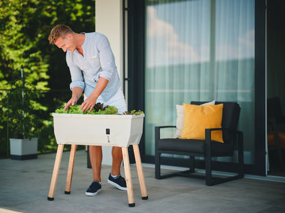  SAMMY SALAD Hochbeet Hellgrau (ohne Haube)