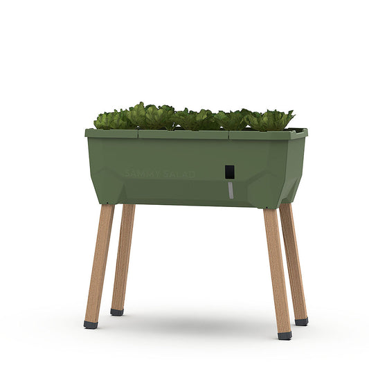  SAMMY SALAD Hochbeet Dunkelgrün (ohne Haube)
