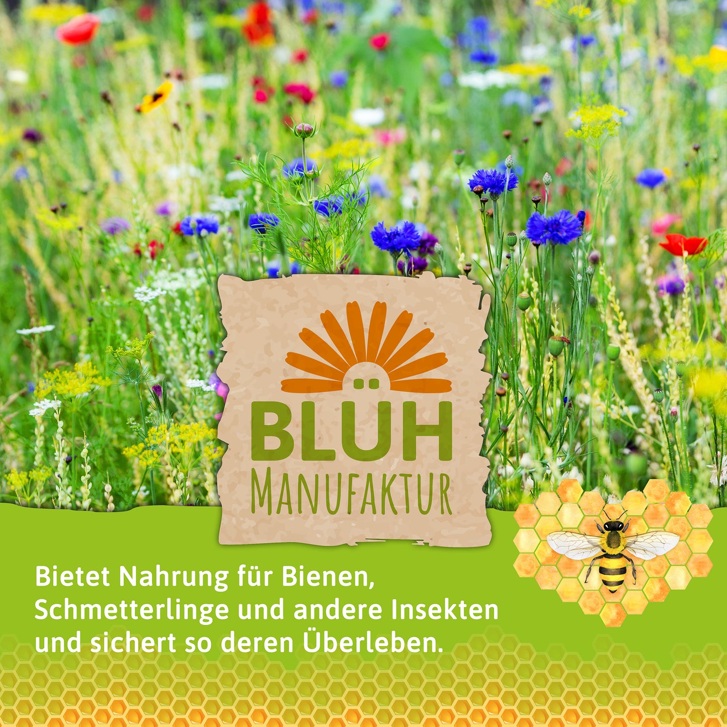  Bienenwiese